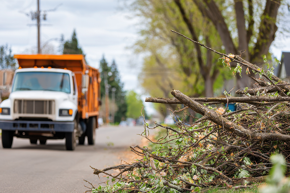 Brush Pick Up - Spring 2026 Brush Pick-up_1000x667.jpg