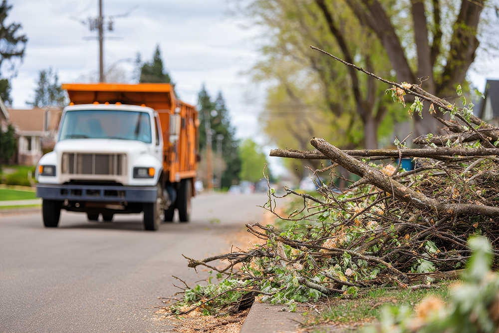 Village Brush Pickup AdobeStock_1699671748.jpg